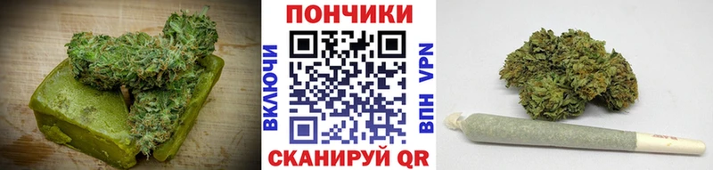 Купить закладки  Бикин  Cannafood конопля 