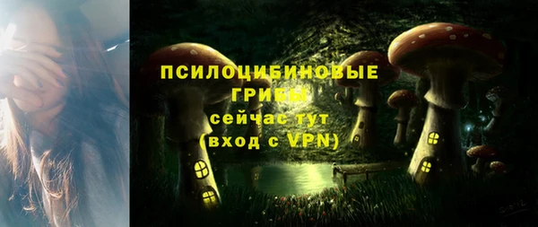 бутират Осинники