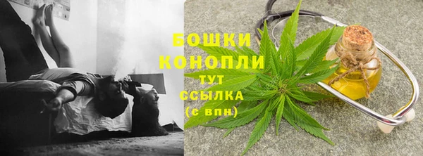 гидра Баксан