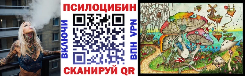 Галлюциногенные грибы прущие грибы  Купить  Бикин 