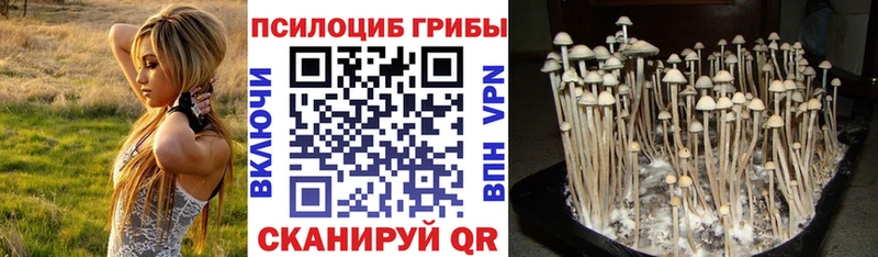 Галлюциногенные грибы мицелий Бикин